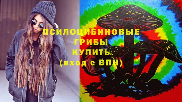 амф Вязники